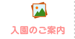 入園のご案内